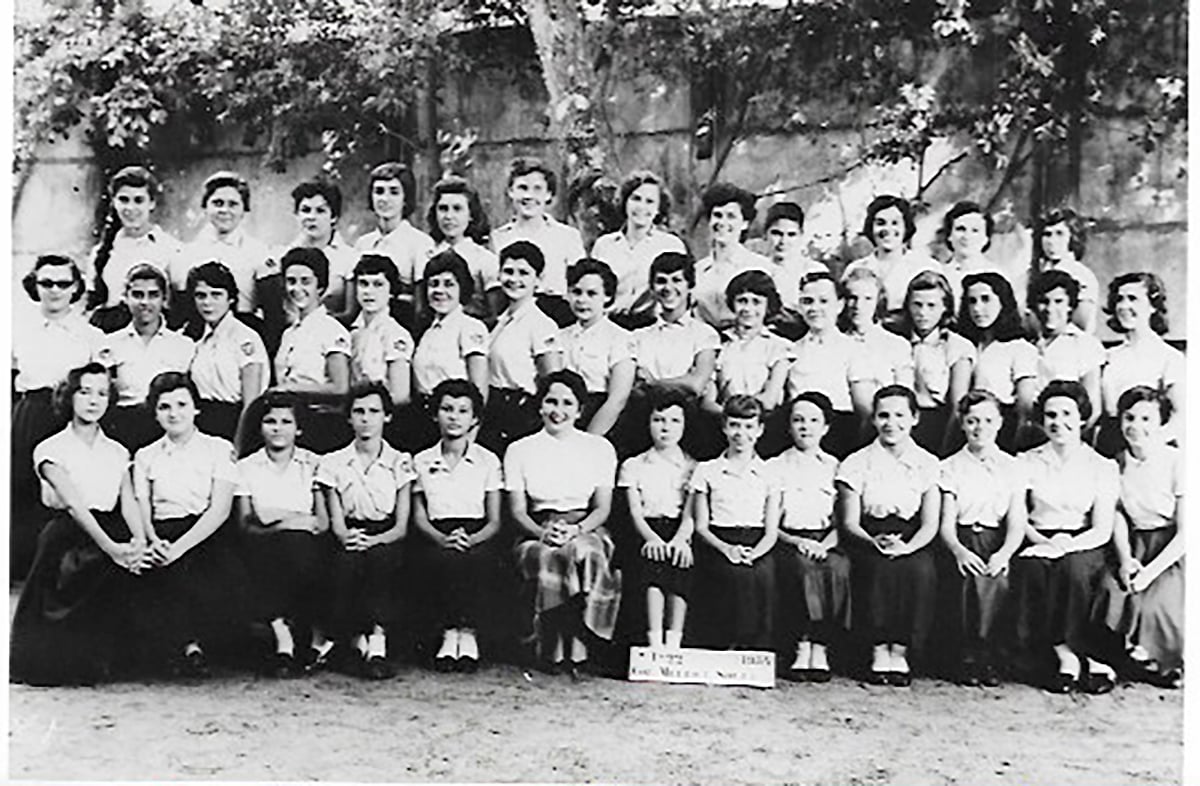 Curadores do Quindim contam histórias memoráveis sobre seus professores